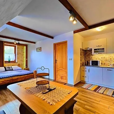 Stylowy I Apartment